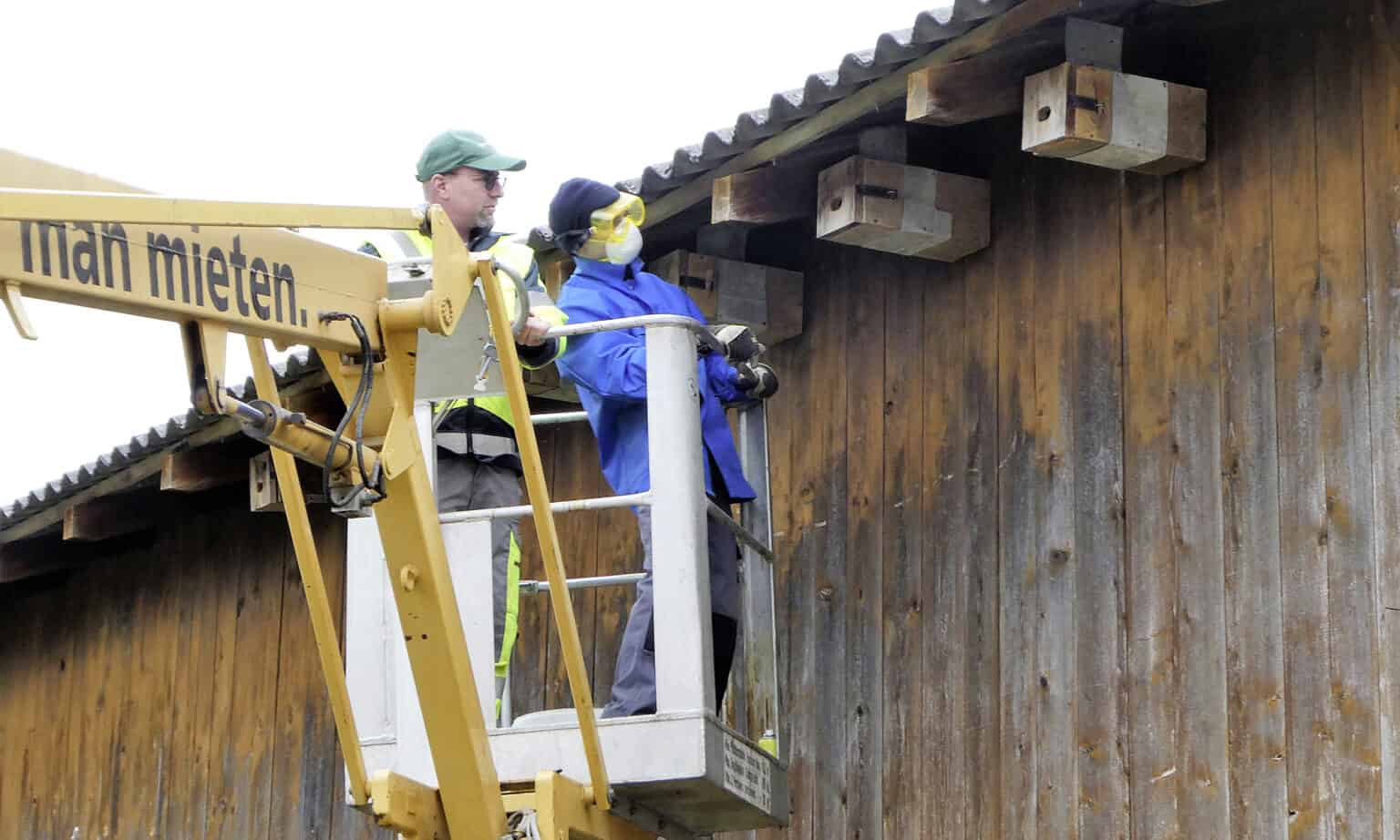Kerngruppe NSV Hellikon