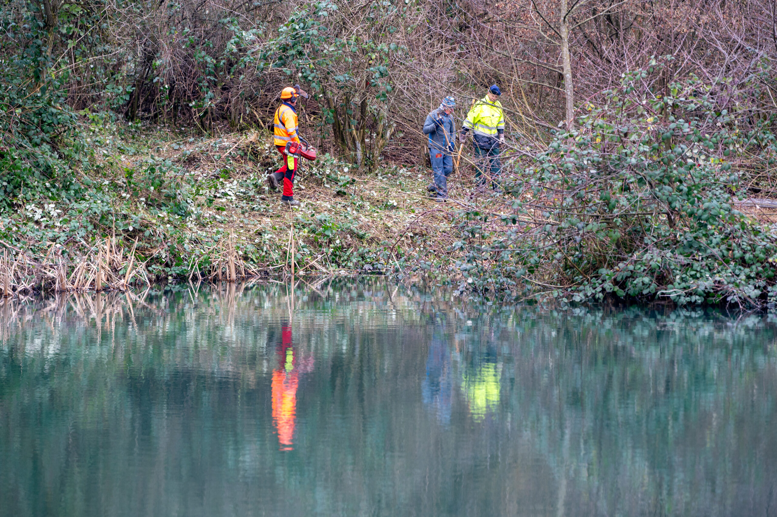 Naturschutzverein Hellikon Fricktal